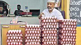 A large share of these eggs is sourced from southern states including Andhra Pradesh and Tamil Nadu.