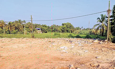 Unsegregated pongala waste dumped in the paddy field on the Attukal temple premises.
