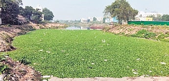 The Petanala lying filled with weeds and dumped garbage at CDA Sector-6 locality in Cuttack.