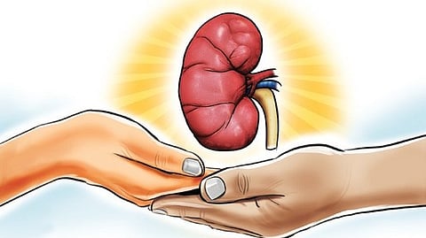 Dialysis units in public health facilities have also increased from 929 to 1,167, reflecting an expansion of the state’s kidney care network. 