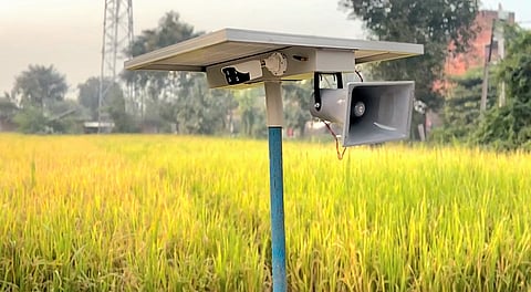 AI-powered smart sirens