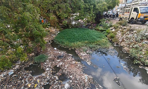 The poorly maintained Kiruthumal river in Anna Nagar, Madurai.