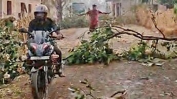 A road blocked by an uprooted tree.