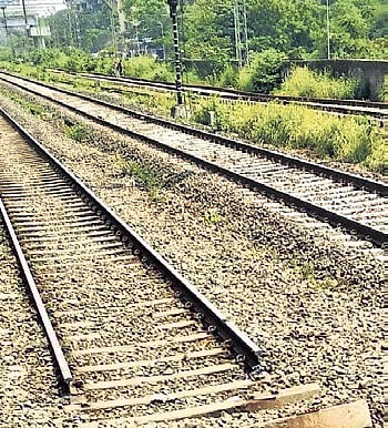 Rajasthan uproar after six camels crushed to death by train near Jaisalmer