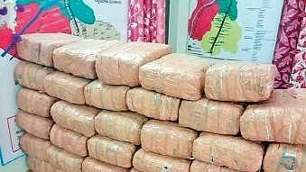 Image of seized ganja used for representative purposes only