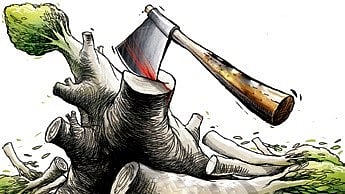 “We are living in a time when AQI is reaching hazardous levels, still they are cutting,” the PIL added. 