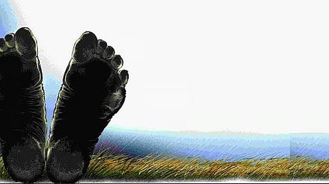 Image used for representative purpose.