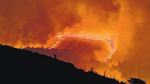 Flames rise in Kerekatte zone of the Kudremukh National Park, where a large area was reduced to ash.