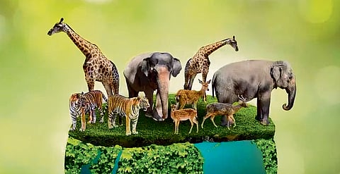 Only two out of 23 national biodiversity targets on track: Report