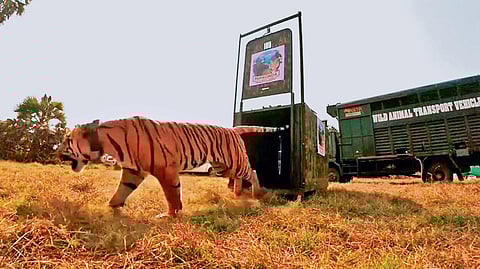 The Explorer’s signals from the Eastern Ghats