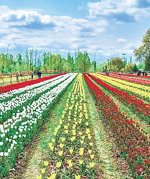 Srinagar Diary | Winter makes a comeback in Kashmir