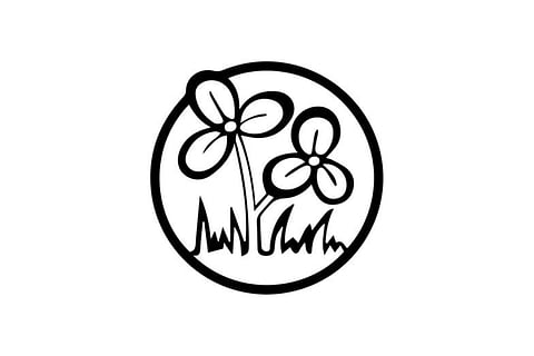 The Assam assembly polls will be held on April 9, and votes will be counted on May 4.