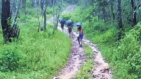 The path to Sangarankadi tribal settlement in Valparai Hill.