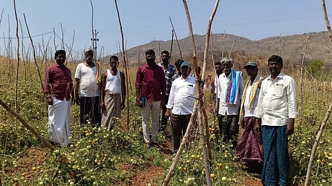 Agriculture and Horticulture Department officials are inspecting crops damaged due to unseasonal rains. 