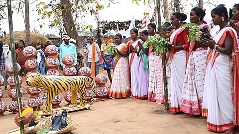 Bagh Devta, the Tiger Deity, is an embodiment of the tribal spirit of coexistence, where the tiger stands as the protector of the fundamentals of life.