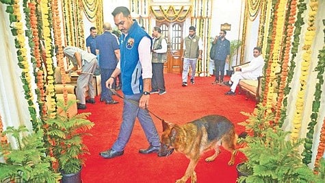 Bomb squad inspects Assembly premises.