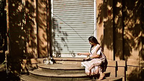 The private lives of public systems