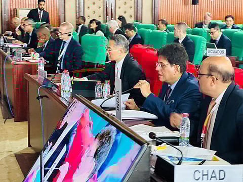 Union Commerce and Industry Minister Piyush Goyal at the WTO Ministerial meeting in Cameroon.