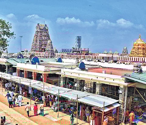 Petitioner raised suspicion as to why tenders were floated quickly when the govt is nearing end of its term.