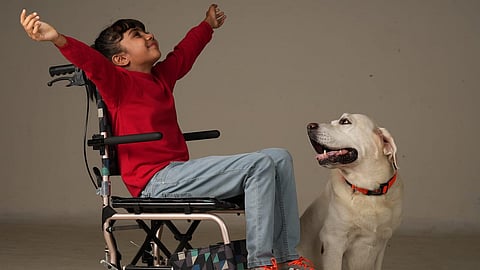 Yava Mohana Murali Kareyitu Movie Review: This dog sees what the humans fail to