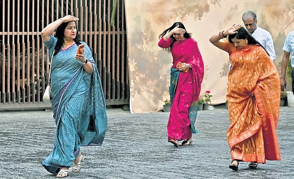 The New Indian Express - Environment - News Image