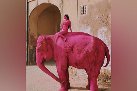 Russian travel photographer Julia Buruleva said the city’s iconic pink hue led to the idea of featuring a pink elephant alongside a model, Yashasvi, against a heritage backdrop.