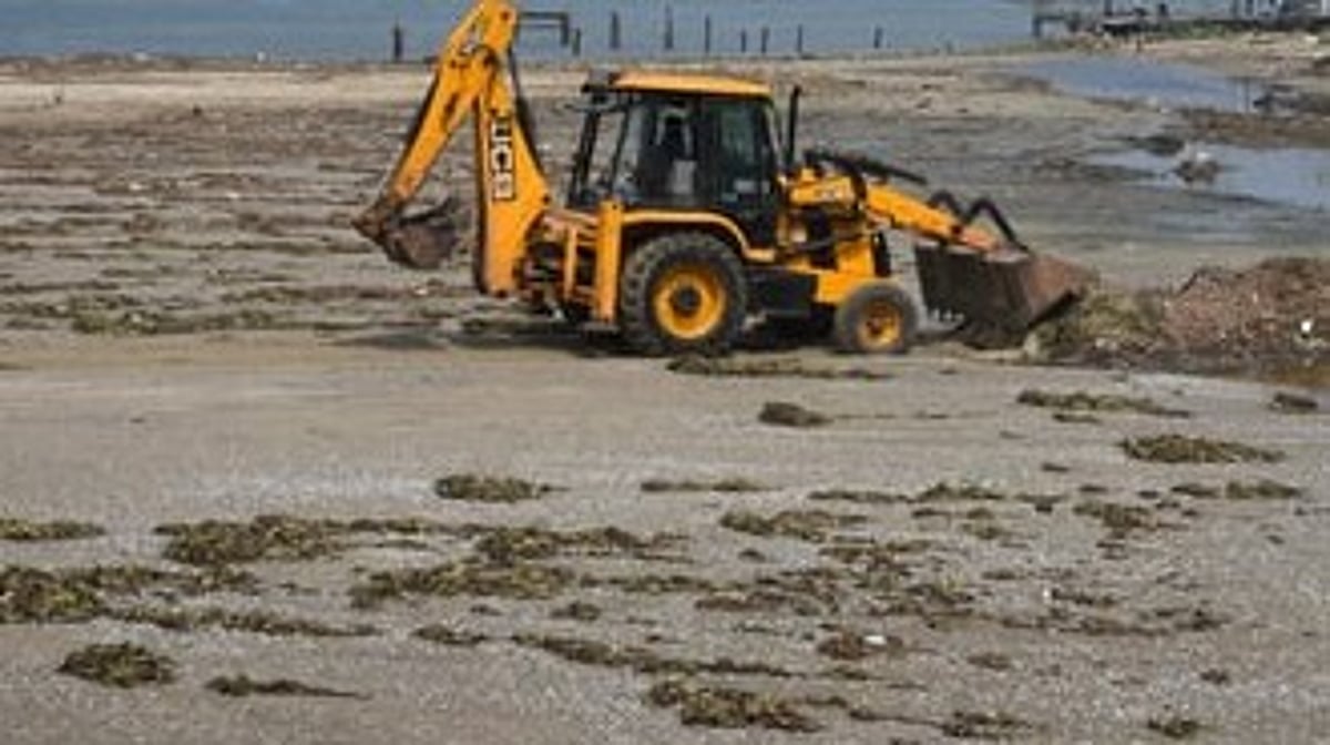 Abtak.com - Politics - News Image