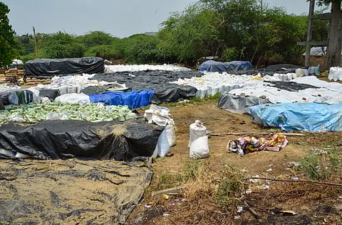 With rain damaging the stock and a lack of adequate tarpaulin sheets or storage space, some farmers have stored their paddy in front of a public toilet in Kalakkad municipality.