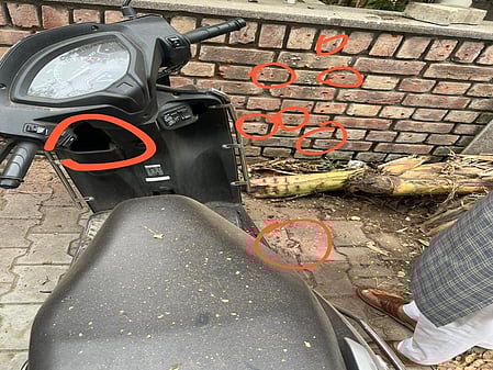 The New Indian Express - Politics - News Image