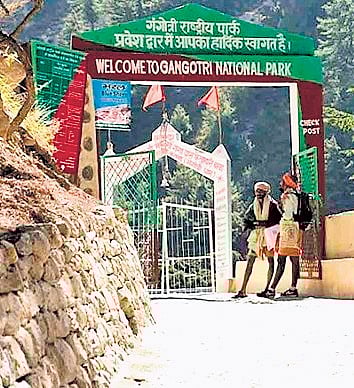 Gangotri National Park now open to 
tourists after six-month winter break