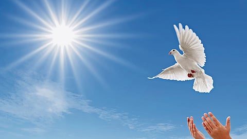 Peace first, force last