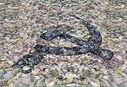 Illustration for representation