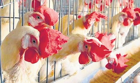 Representative Image