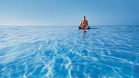 Floating in the ocean of life