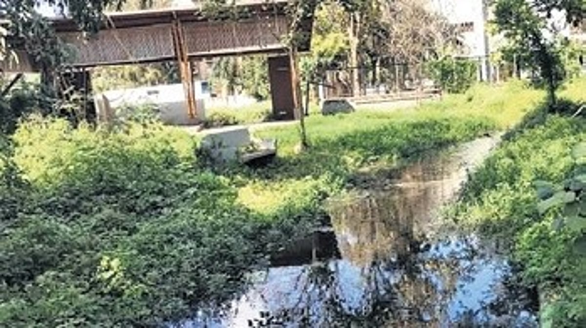 बेंगलुरू के एकमात्र पक्षी अभ्यारण्य की उपेक्षा का शिकार है क्योंकि सीवेज का प्रवाह एनजीटी के आदेशों का उल्लंघन है