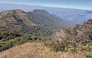 Tadiandamol, the highest peak of Kodagu district, where the woman techie went missing 