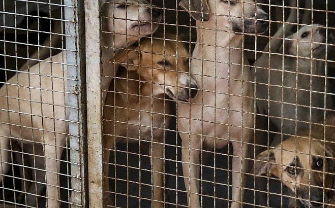 The New Indian Express - Politics - News Image