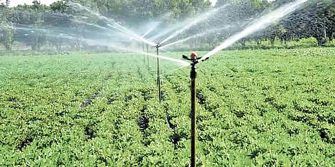 With this achievement, Andhra Pradesh has secured the first position at the national level in terms of area covered under micro irrigation for the year 2025-26