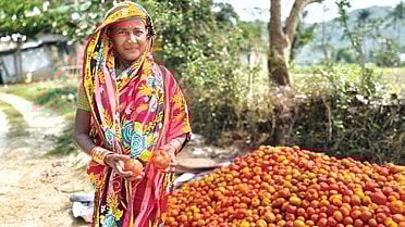A member of the  women farmer producer group poses with the tomato stock.