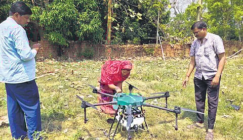 Shantilata keeps lands fertile from 20 ft up