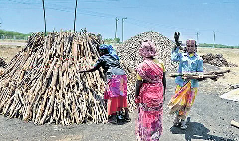 Limited public transport facilities force residents to either take up irregular, low-paying, and physically demanding jobs or migrate elsewhere if they can afford it. 
