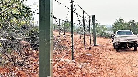 The 10-km-long steel wire fence, along Coimbatore–Boluvampatti forest boundary, has gates.