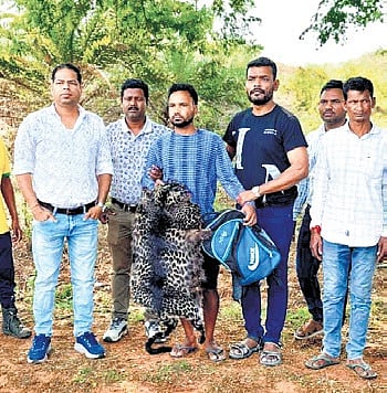 Abtak.com - Other - News Image