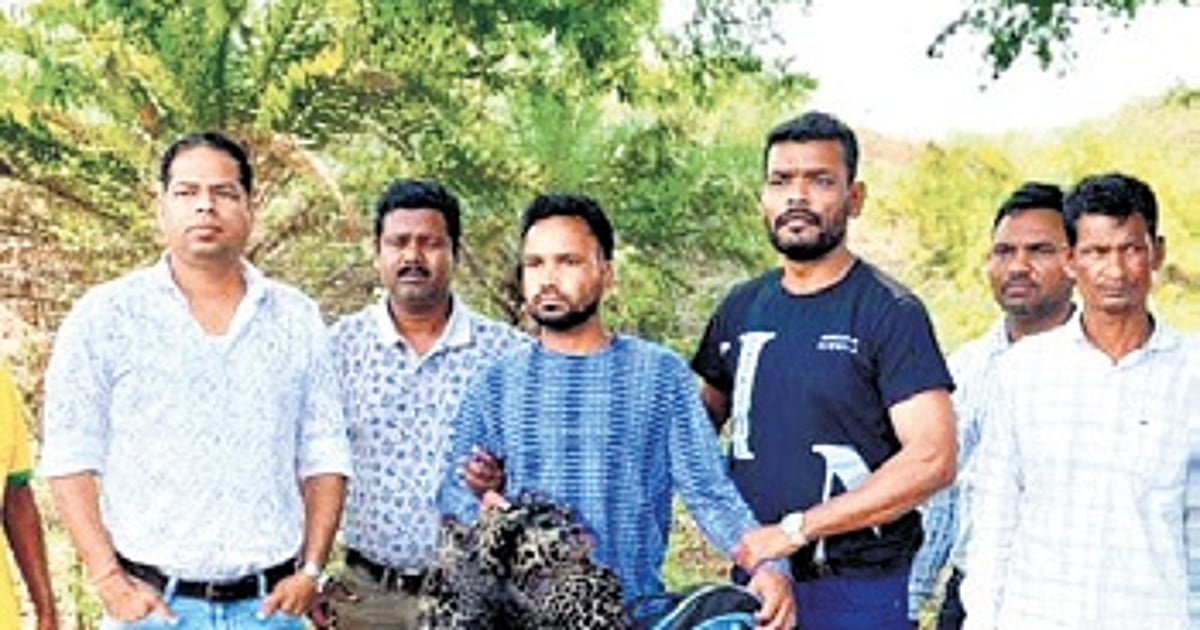 Abtak.com - Other - News Image