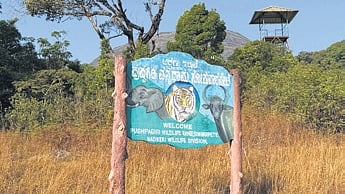 The Kumara Parvatha trail