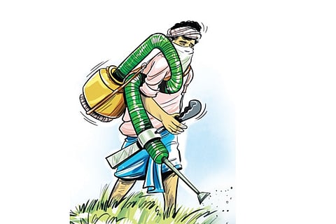 Farm worker exposed to pesticide dies in hospital in Odisha's Gajapati