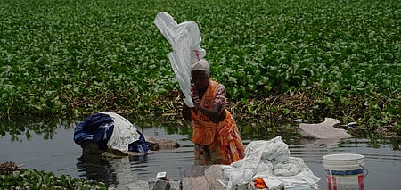 Invasive water hyacinth a long stretch of the Vaigai river in Madurai, create mosquitoes, obstructing water flow