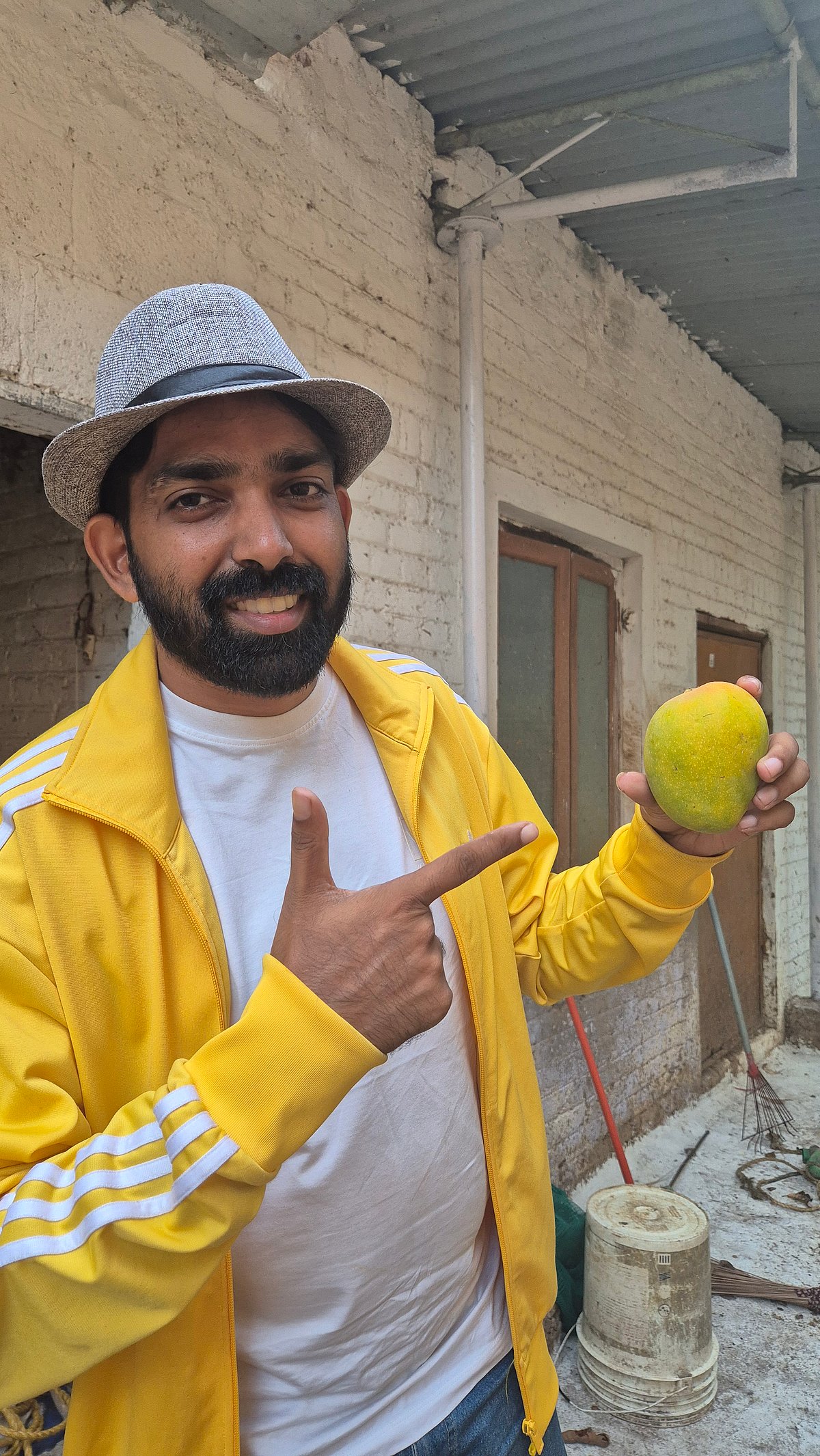 Connecting urban buyers to mango trees