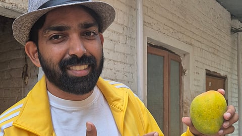 Connecting urban buyers to mango trees