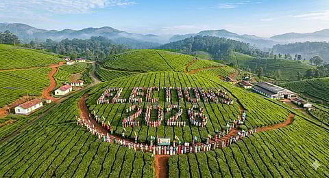 Standout campaigns to get voters to the booth